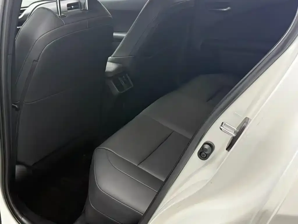 Lexus UX 2021 из CN, фото 3