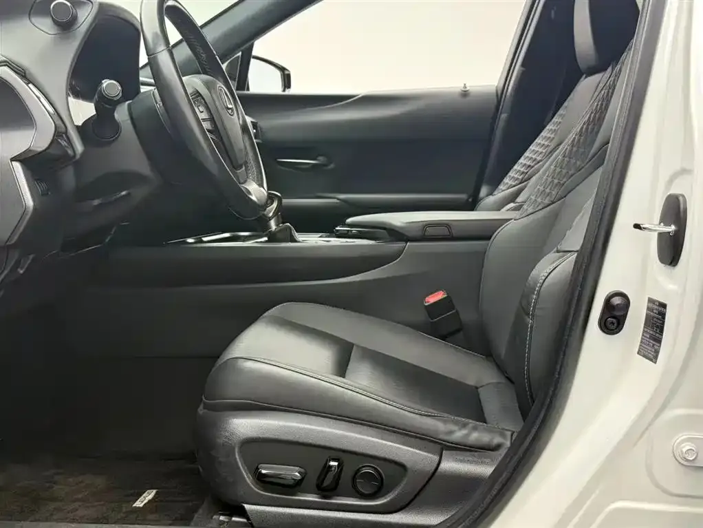 Lexus UX 2021 из CN, фото 8