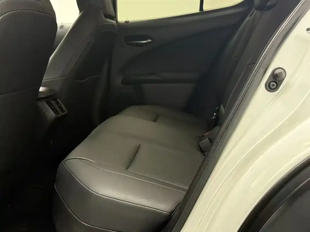 Lexus UX 2021 из CN, фото 4