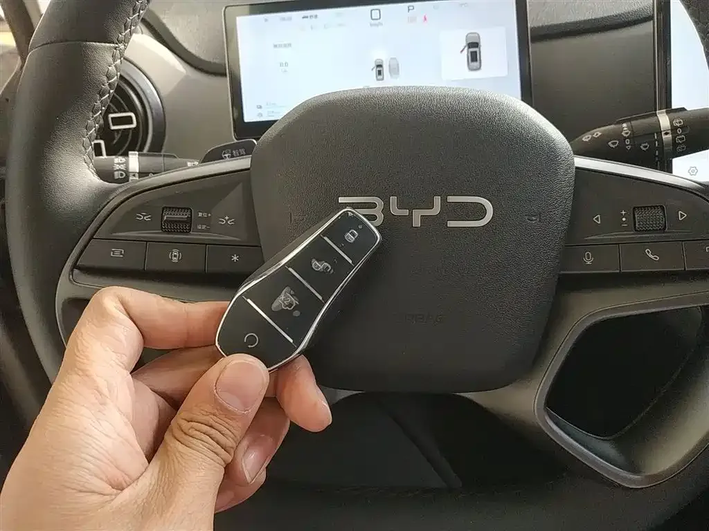 BYD Seal 05 DM-i 2025 из CN, фото 3