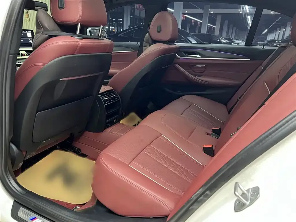 BMW 5 Series 2023 из CN, фото 10