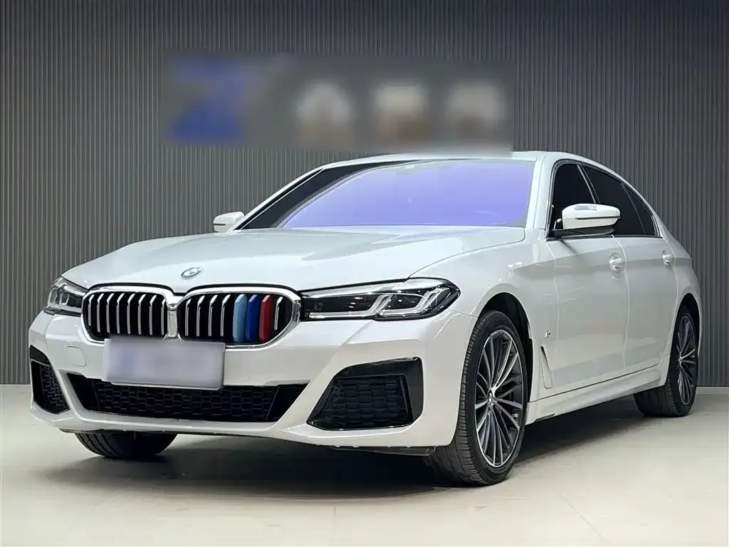 BMW 5 Series 2023 из CN, фото 7