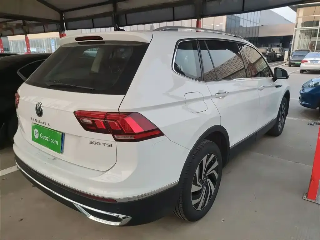Volkswagen Tiguan L 2023 из CN, фото 10