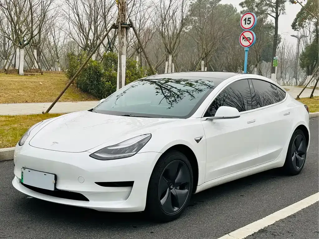 Tesla Model 3 2021 из CN, фото 1