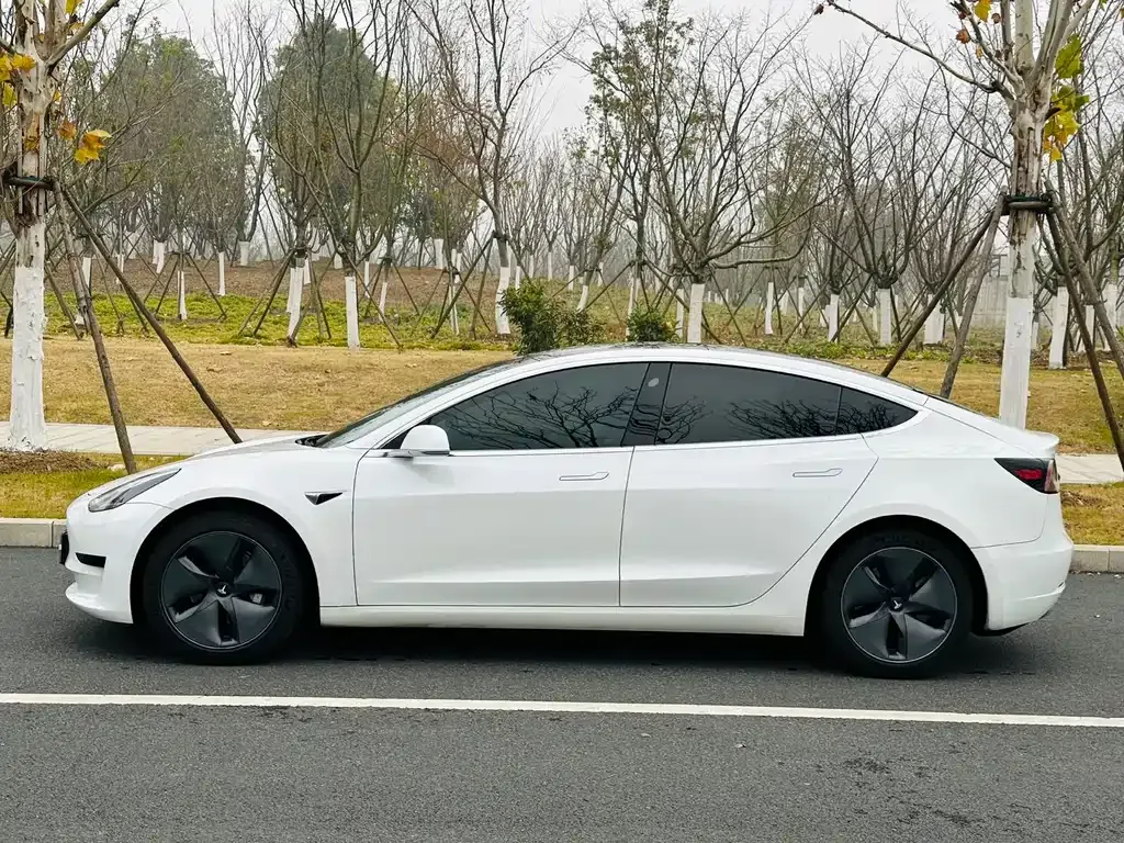 Tesla Model 3 2021 из CN, фото 6
