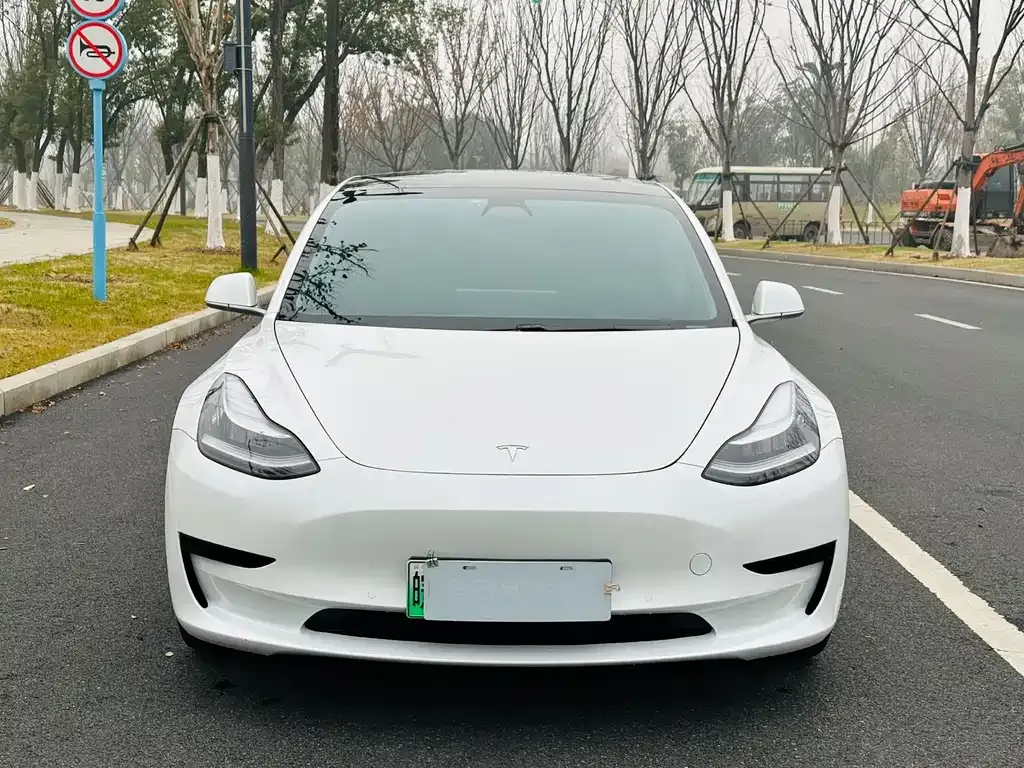 Tesla Model 3 2021 из CN, фото 8