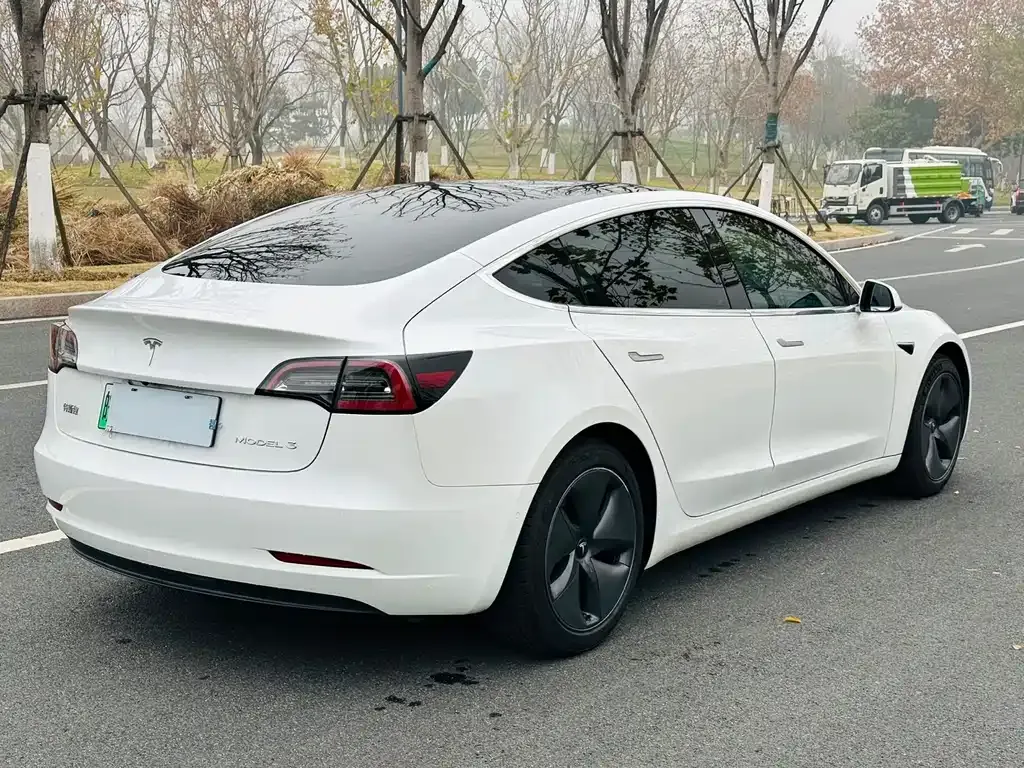 Tesla Model 3 2021 из CN, фото 9