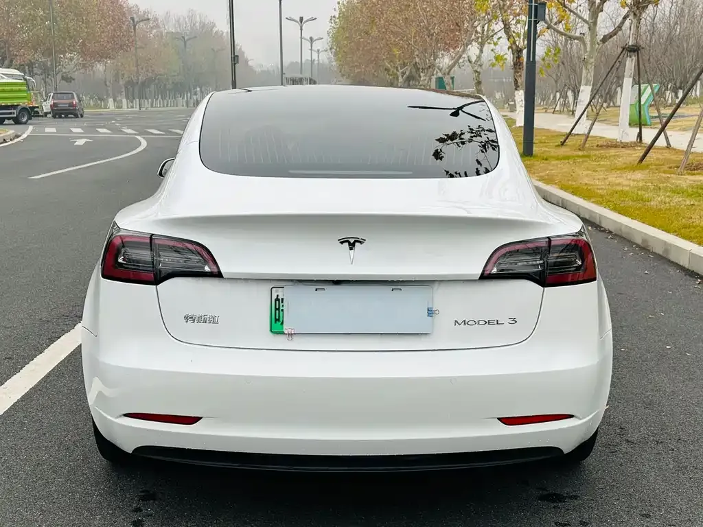 Tesla Model 3 2021 из CN, фото 4