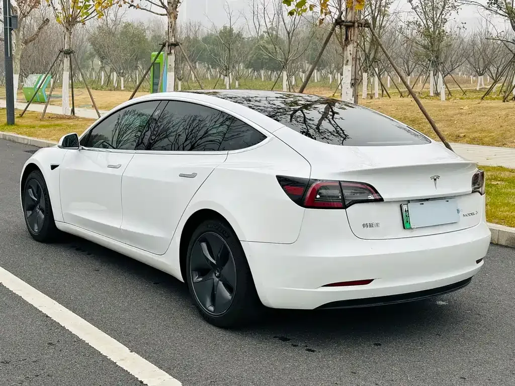 Tesla Model 3 2021 из CN, фото 10