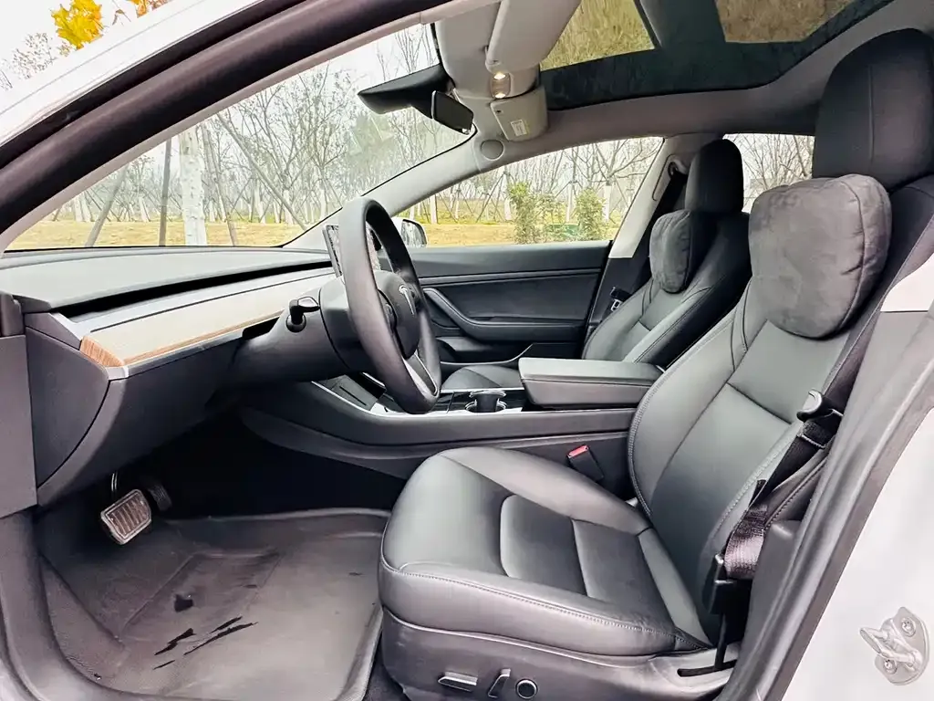 Tesla Model 3 2021 из CN, фото 5