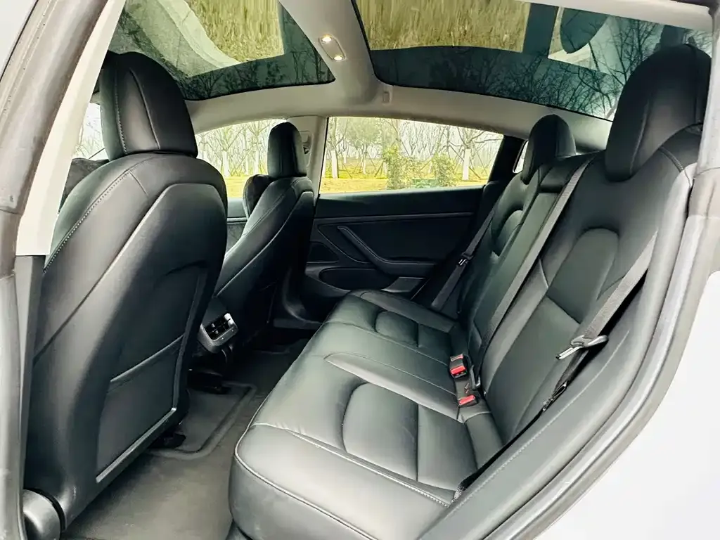 Tesla Model 3 2021 из CN, фото 2