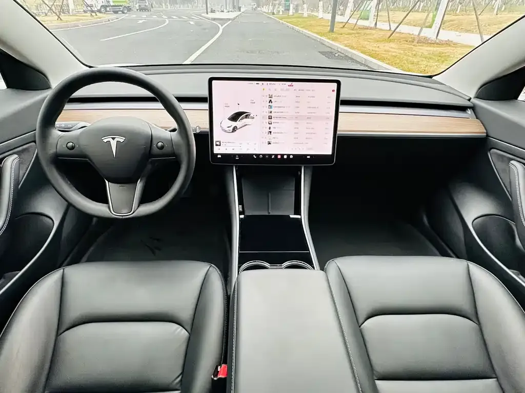 Tesla Model 3 2021 из CN, фото 3