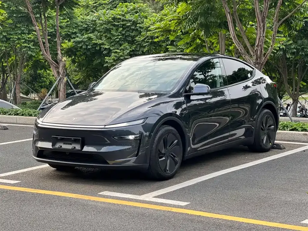 Tesla Model Y 2025 из CN, фото 1