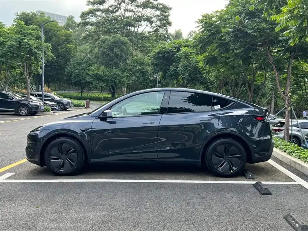 Tesla Model Y 2025 из CN, фото 9