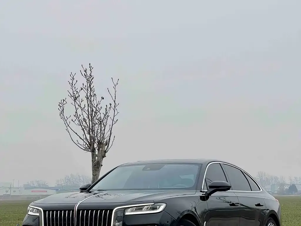 Hongqi H9 — фото 4