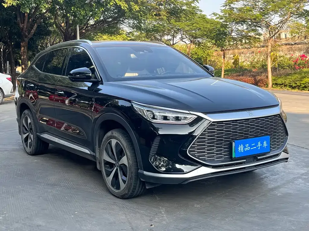 BYD PLUS New Energy — фото 6