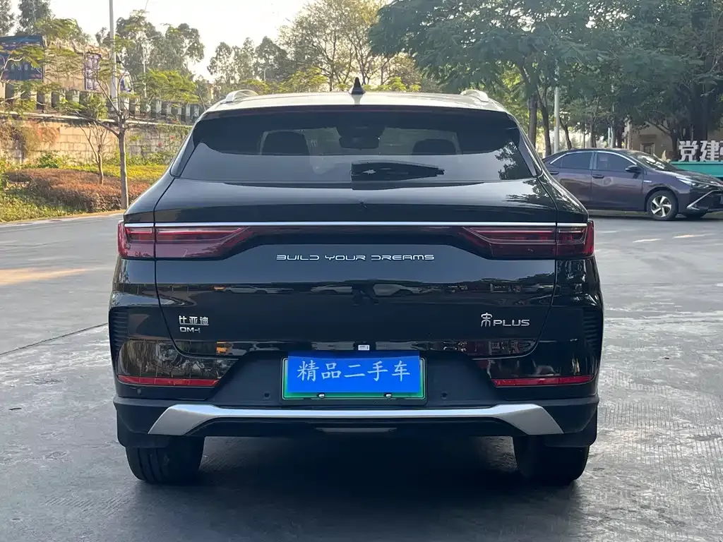 BYD PLUS New Energy — фото 4