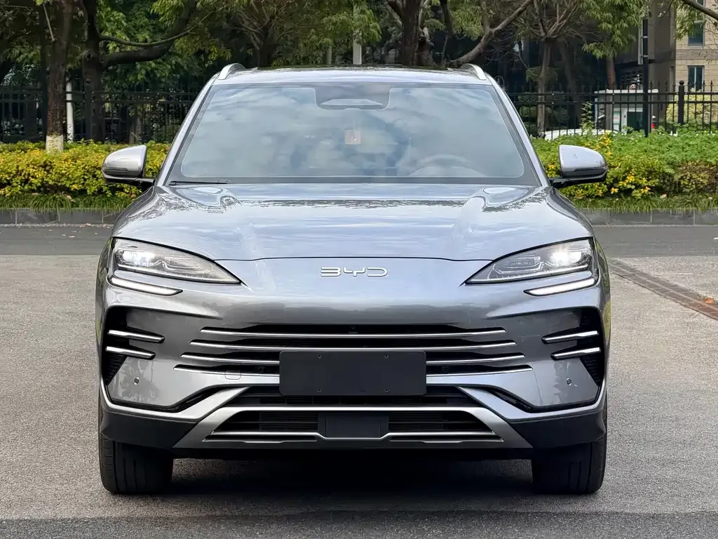 BYD PLUS New Energy 2025 из CN, фото 5