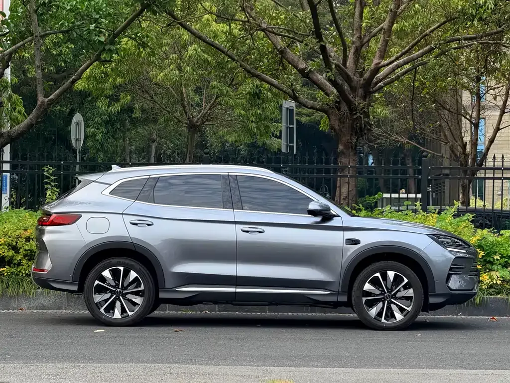 BYD PLUS New Energy 2025 из CN, фото 2