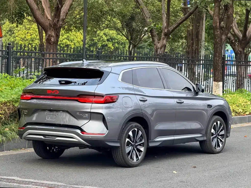 BYD PLUS New Energy 2025 из CN, фото 3