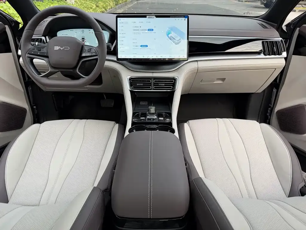 BYD PLUS New Energy 2025 из CN, фото 4