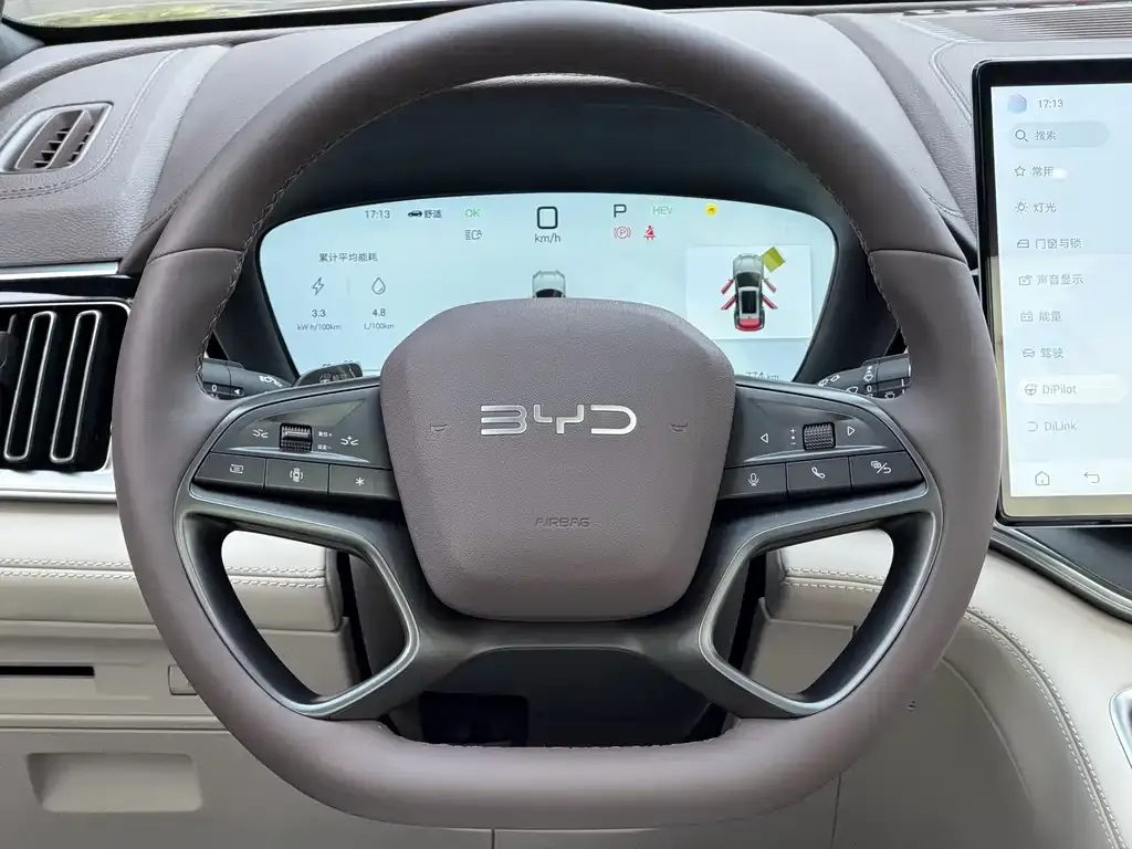 BYD PLUS New Energy 2025 из CN, фото 7