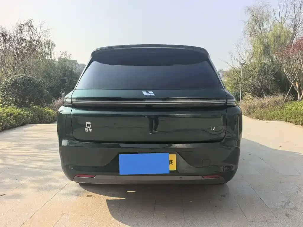 Li Auto L8 2023 из CN, фото 8
