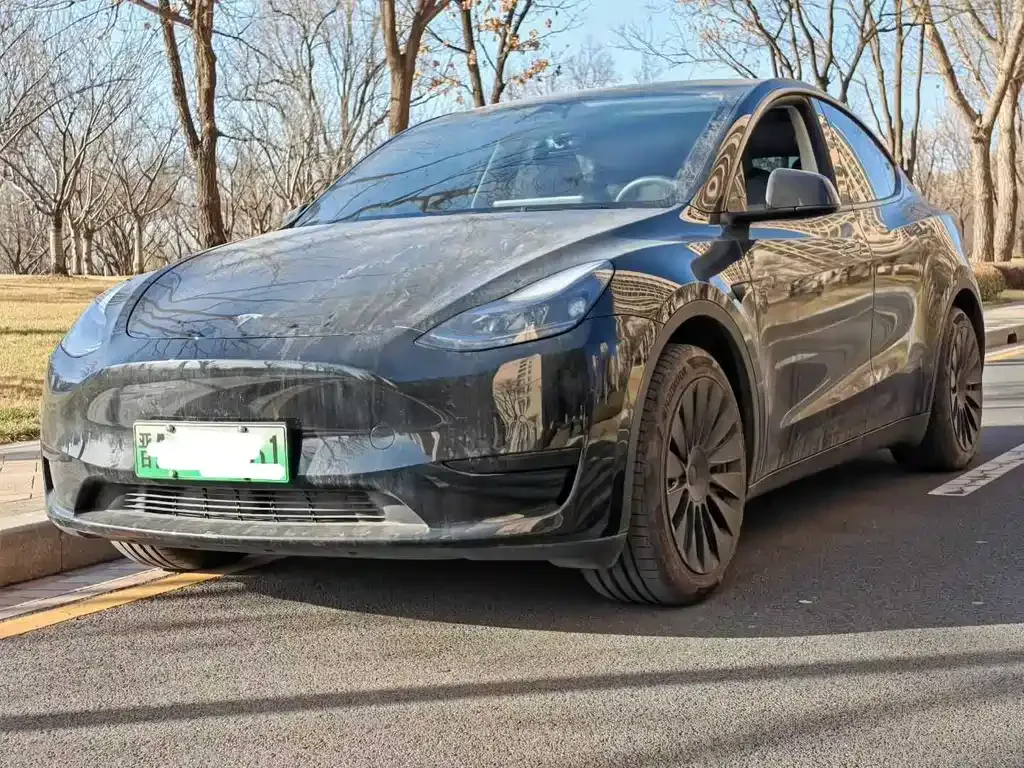 Tesla Model Y — фото 1