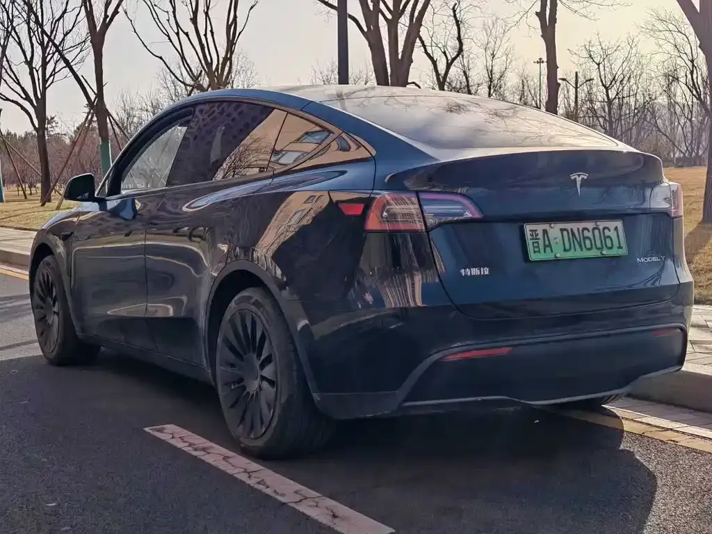 Tesla Model Y — фото 6
