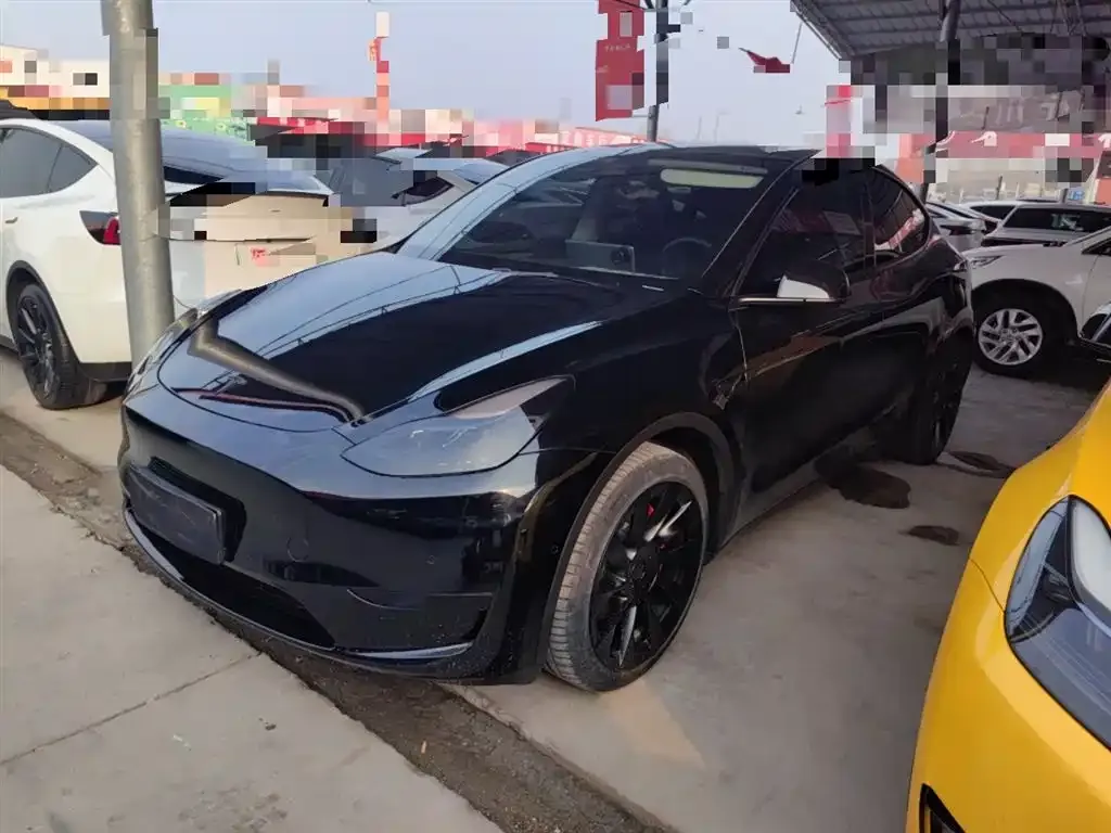 Tesla Model Y — фото 2