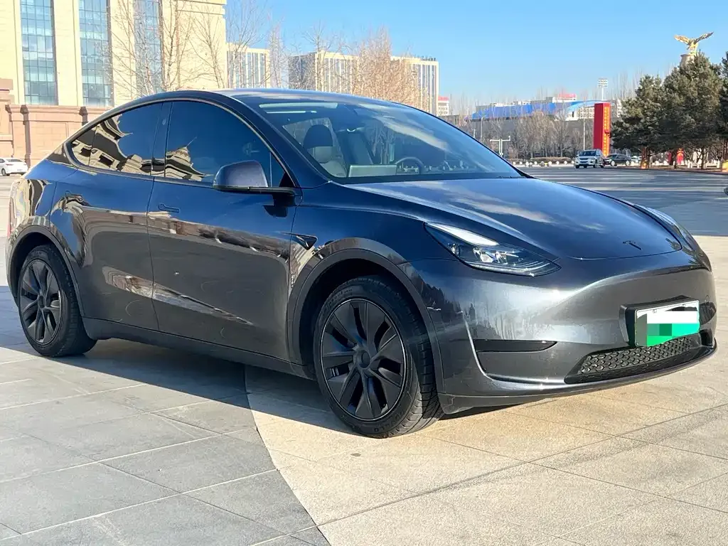 Tesla Model Y — фото 9