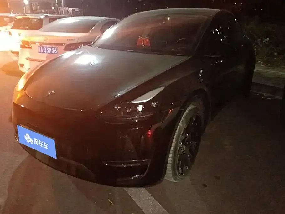 Tesla Model Y 2021 из CN, фото 1