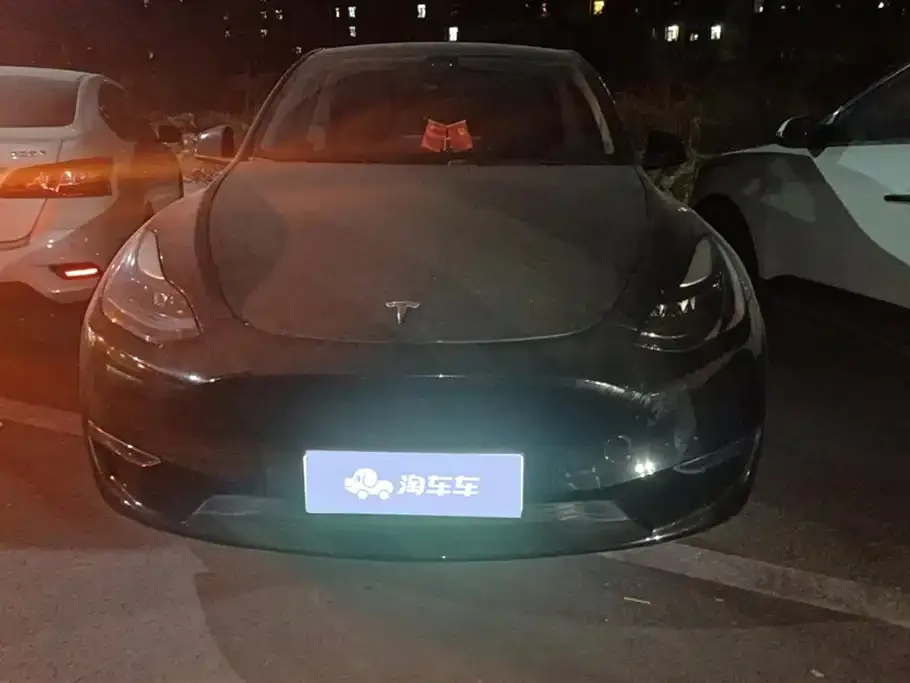 Tesla Model Y 2021 из CN, фото 2