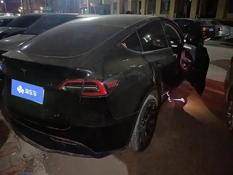 Tesla Model Y 2021 из CN, фото 9
