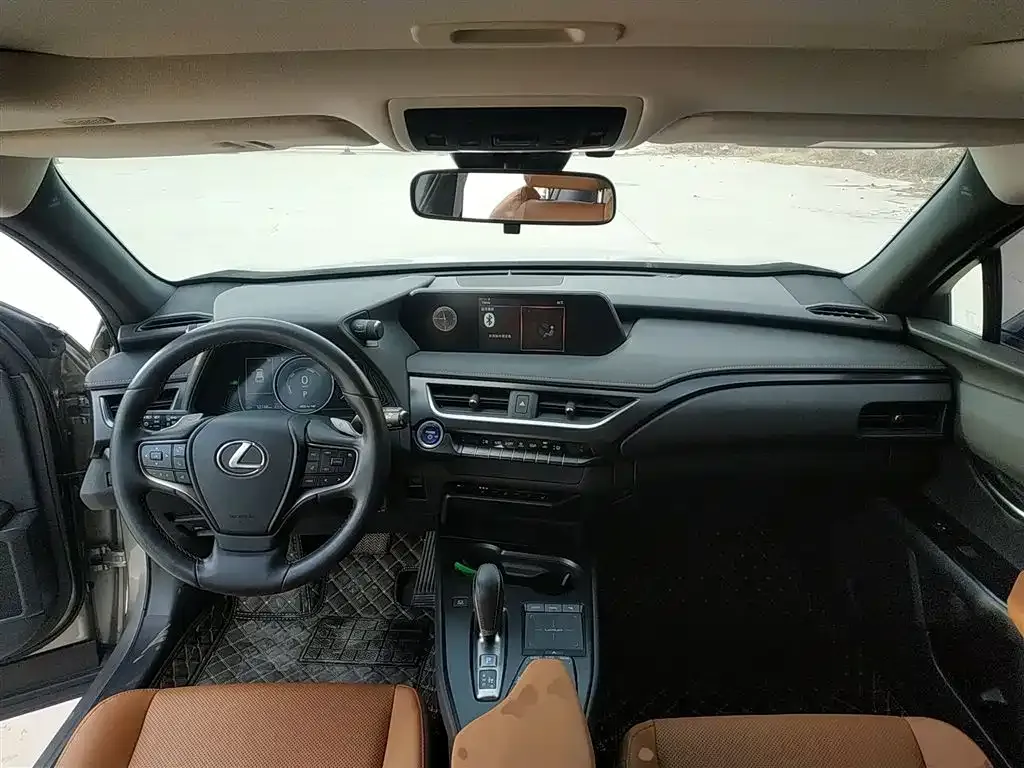 Lexus UX New Energy 2022 из CN, фото 10
