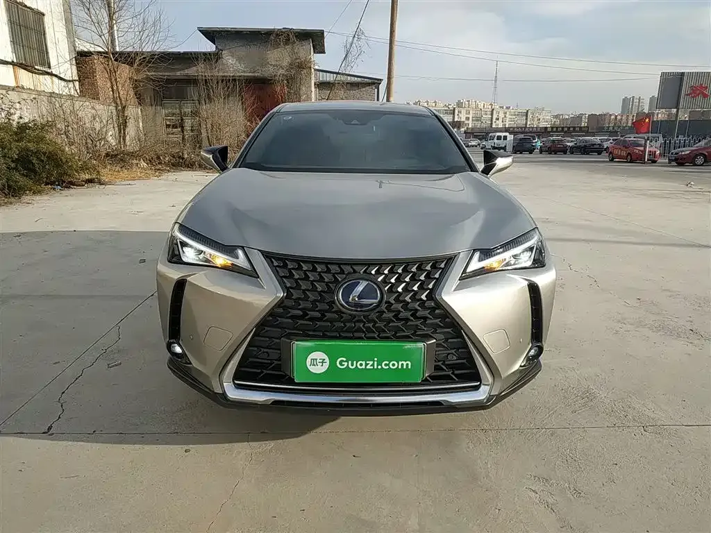 Lexus UX New Energy 2022 из CN, фото 7