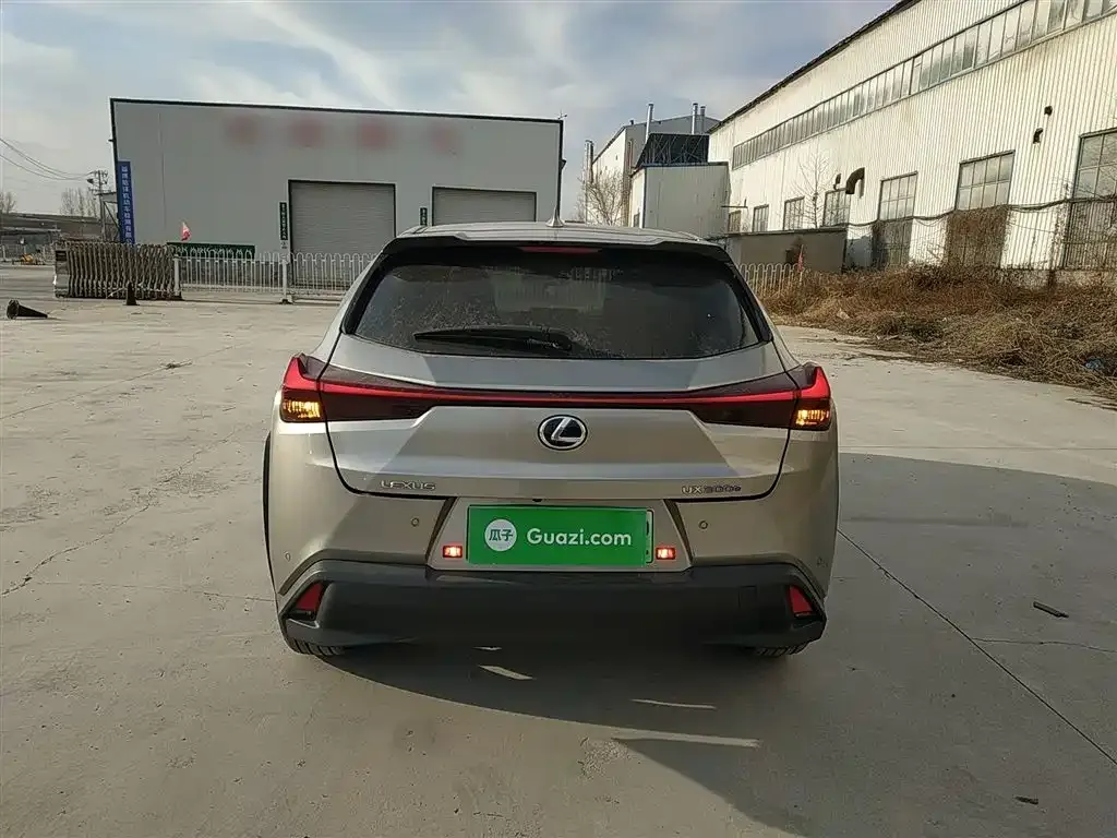 Lexus UX New Energy 2022 из CN, фото 5