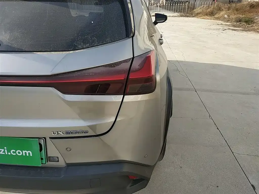 Lexus UX New Energy 2022 из CN, фото 3