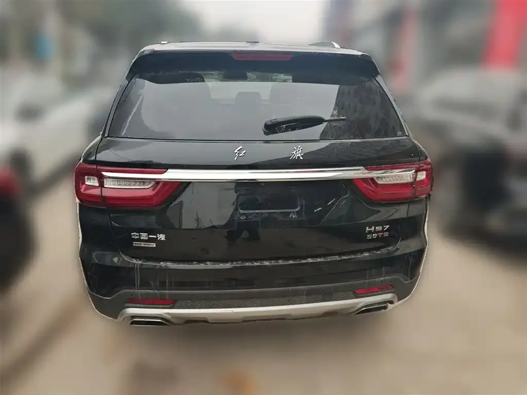 Hongqi HS7 2023 из CN, фото 3