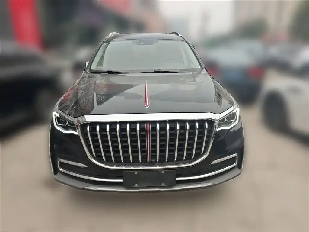 Hongqi HS7 2023 из CN, фото 2