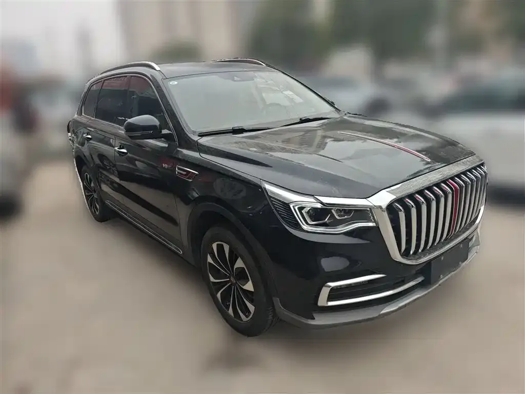 Hongqi HS7 2023 из CN, фото 9