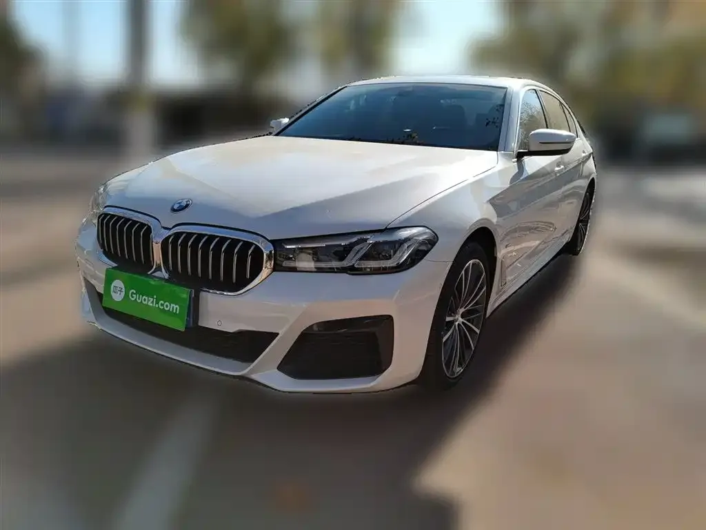 BMW 5 Series 2023 из CN, фото 1