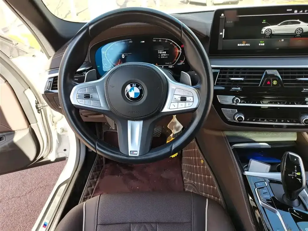 BMW 5 Series 2023 из CN, фото 9
