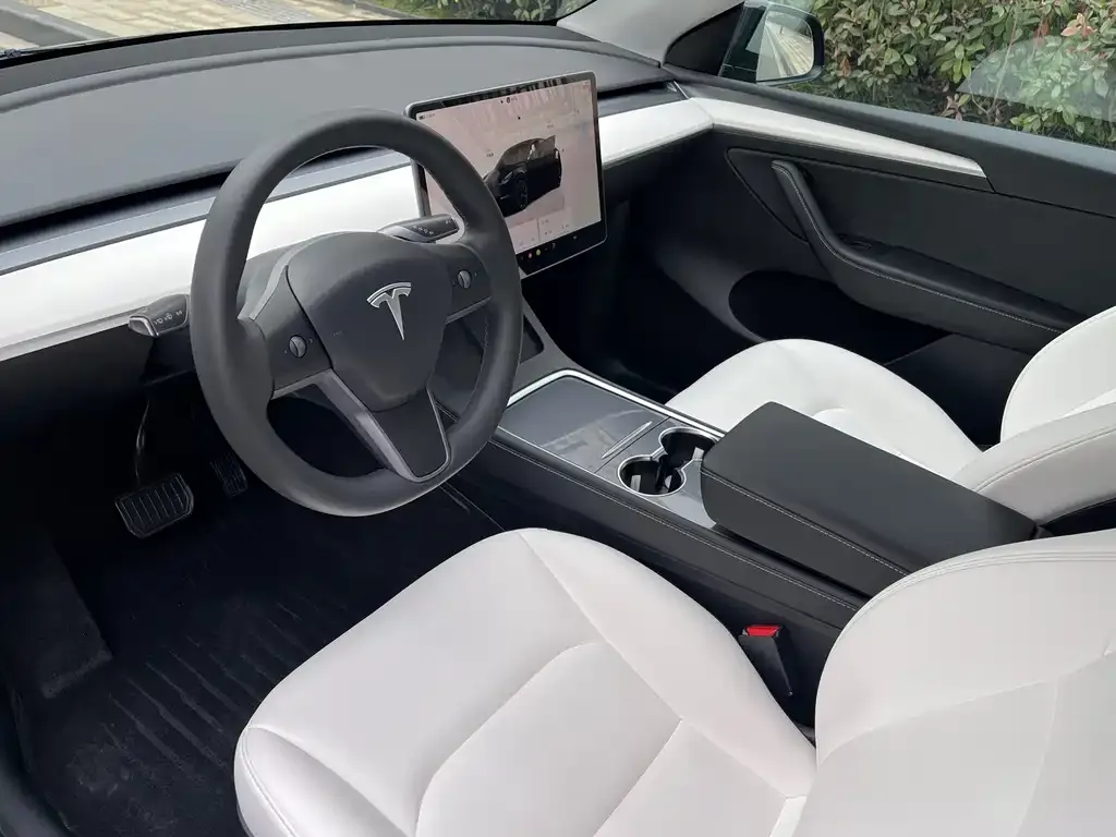 Tesla Model Y 2023 из CN, фото 5