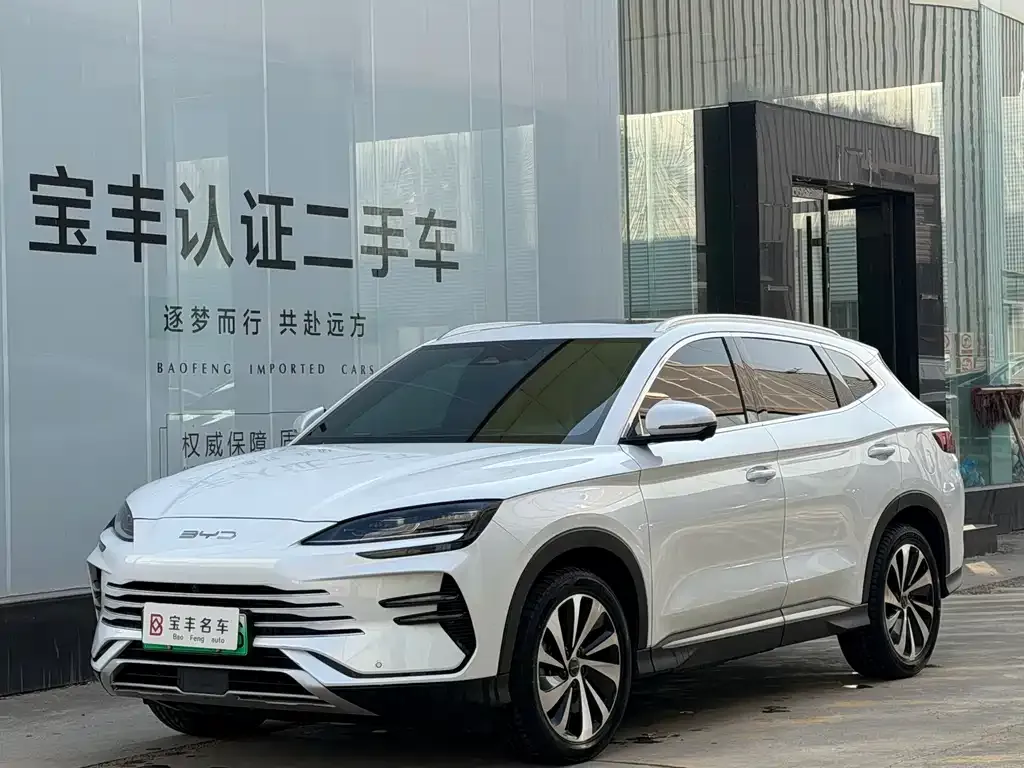 BYD PLUS New Energy 2023 из CN, фото 1