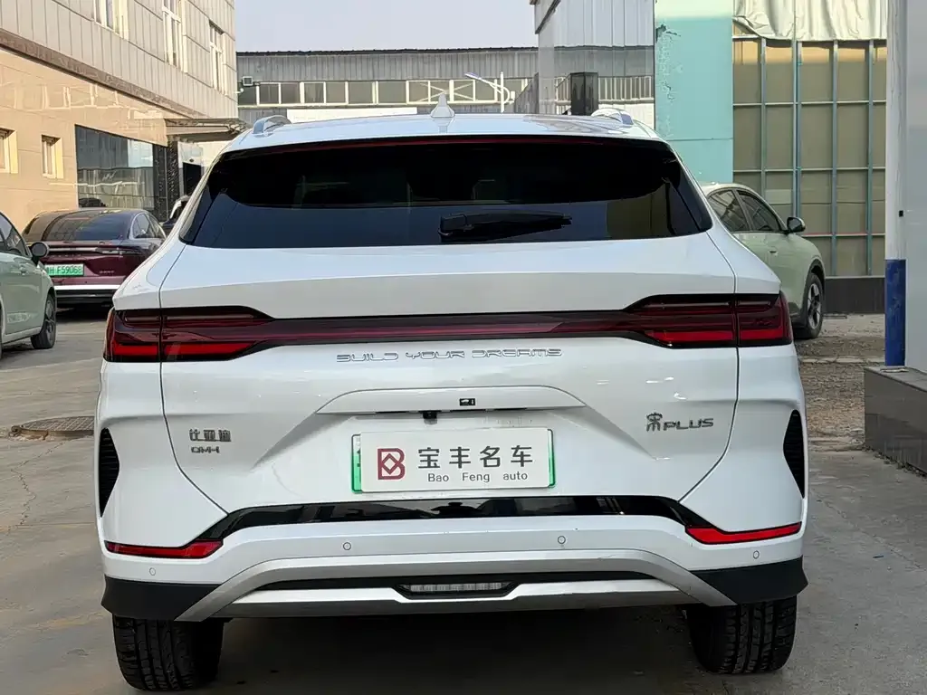 BYD PLUS New Energy 2023 из CN, фото 6