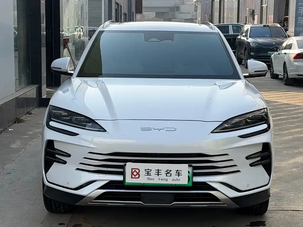 BYD PLUS New Energy 2023 из CN, фото 9