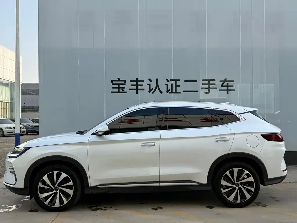 BYD PLUS New Energy 2023 из CN, фото 2