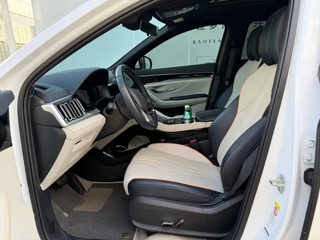 BYD PLUS New Energy 2023 из CN, фото 4
