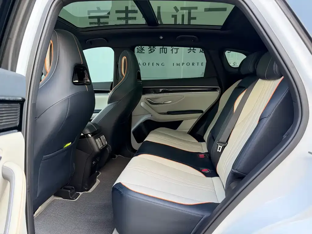 BYD PLUS New Energy 2023 из CN, фото 5